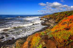 Fiscalini coast near Cambria-2000.jpg Fiscalini coast near Cambria-2000.jpg